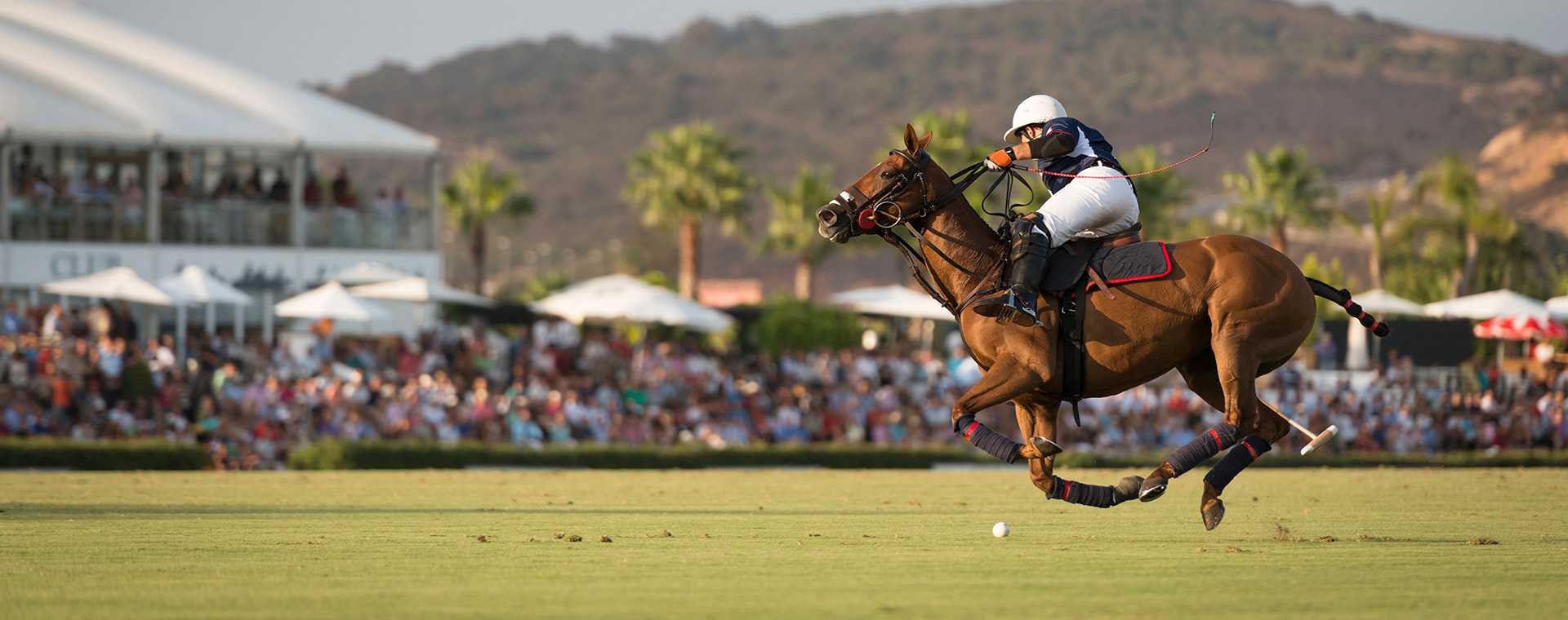 A jockey on horseback playing polo